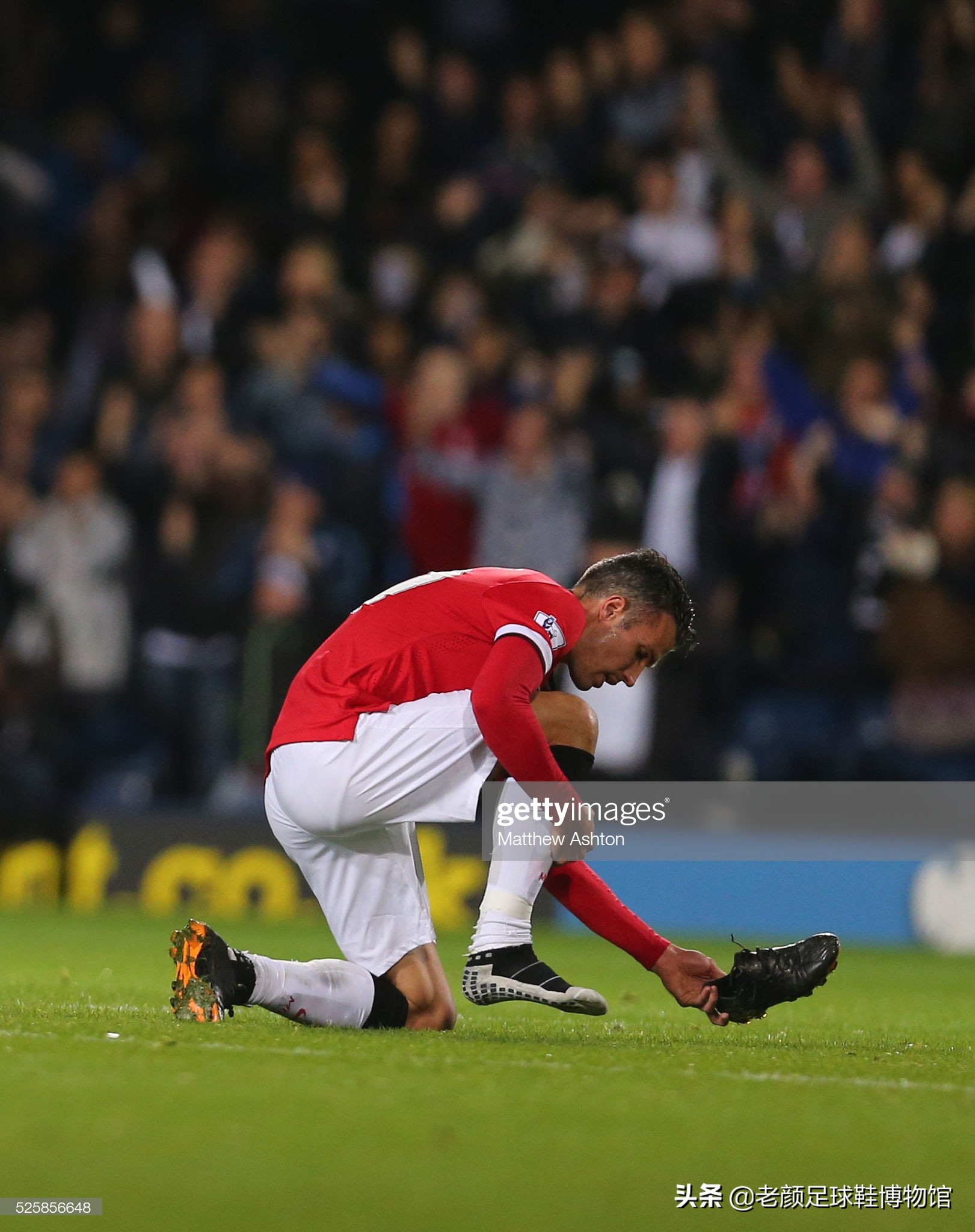 作为卫冕冠 作为卫冕冠